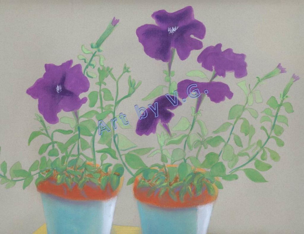 petunias