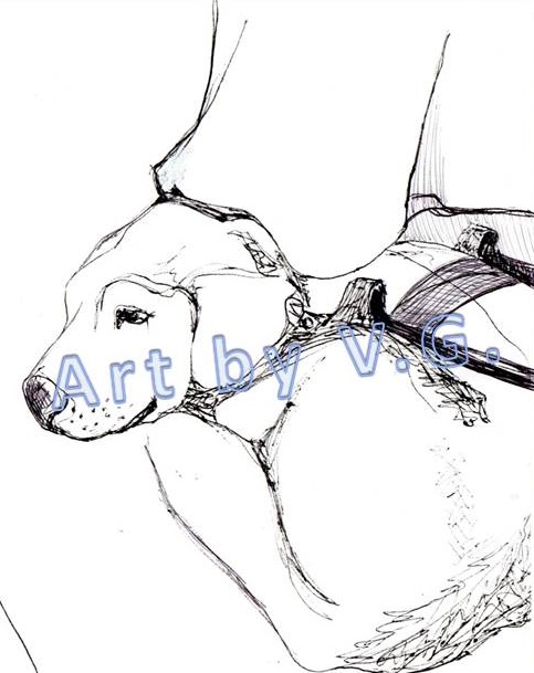 sketch-guide-dog